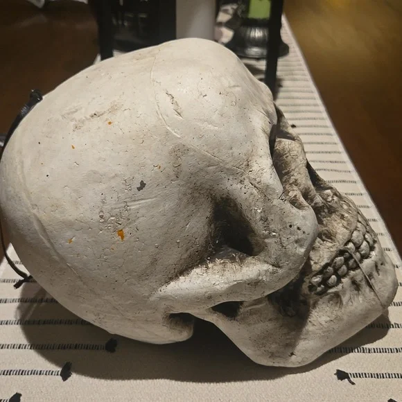 Halloween Skull - Picture 5 of 6